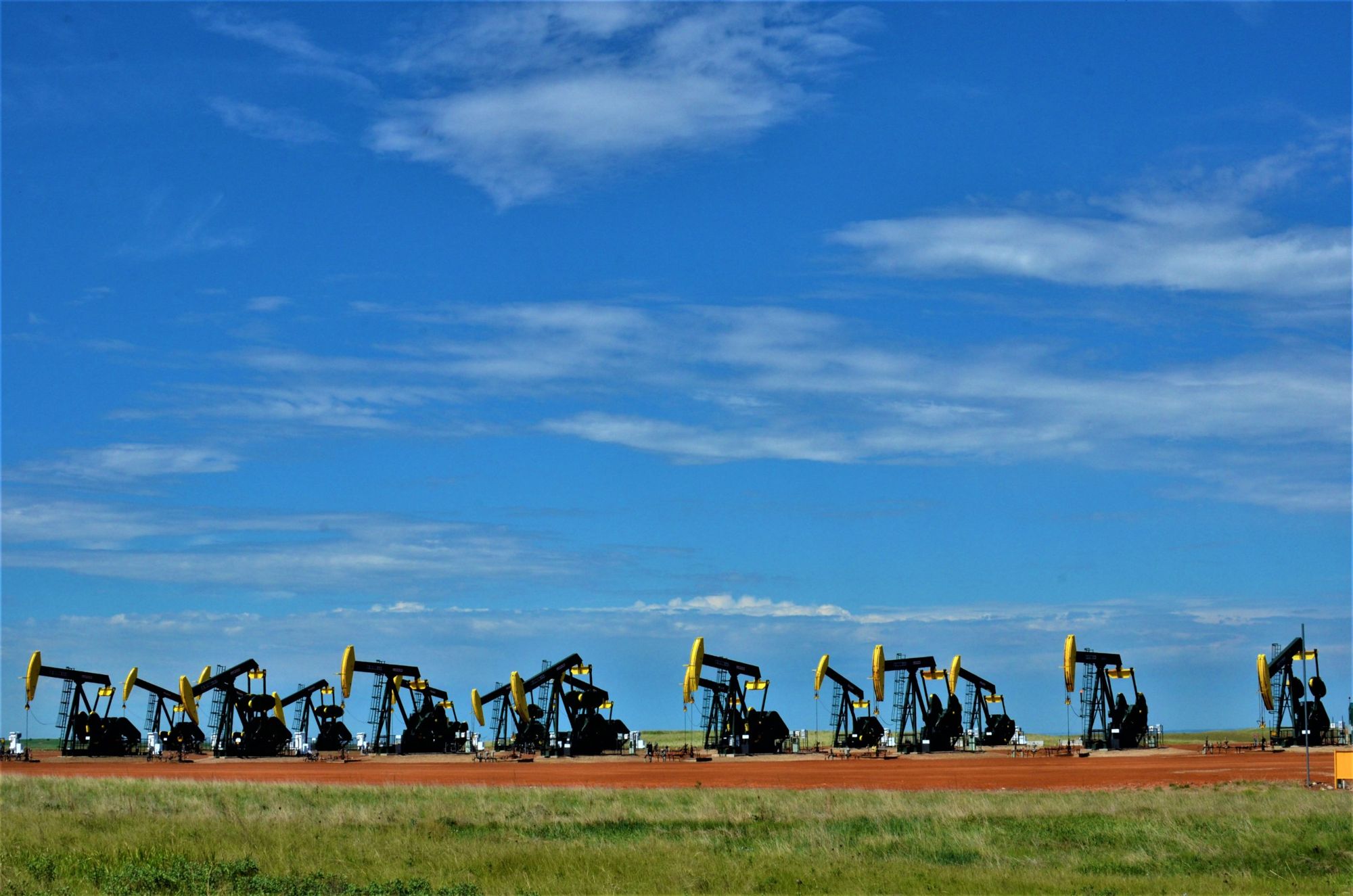 A long row of pumpjacks under a wide blue sky